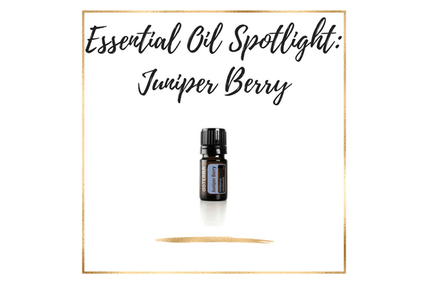 Essential Oil Spotlight_ juniper berry