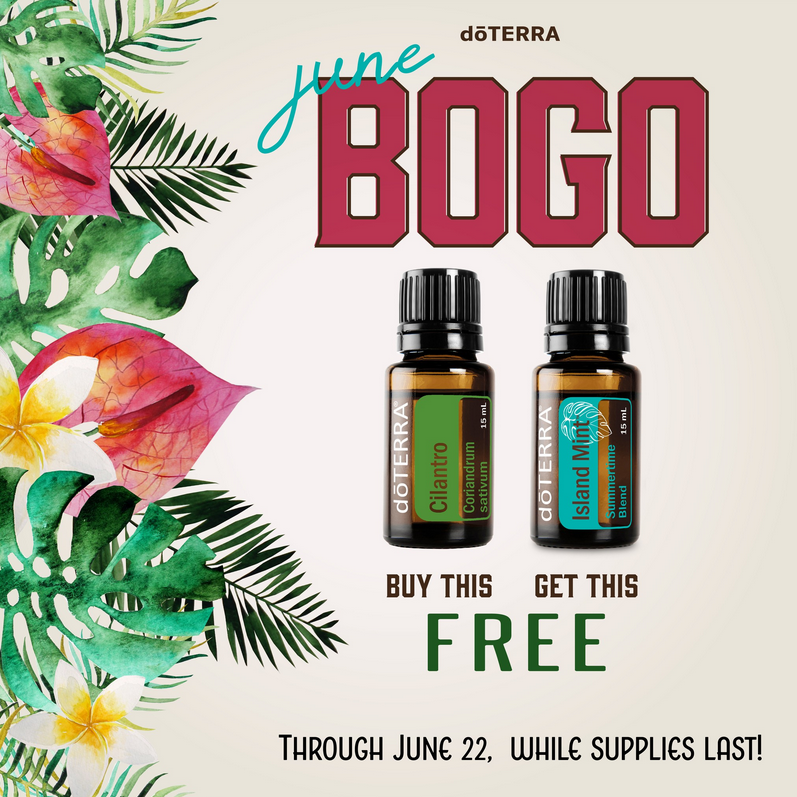 The doTERRA BOGO Box | Reija Eden - Holistic Health & Wellness