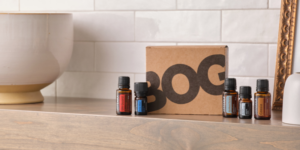 doterra essential oils bogo box promotion